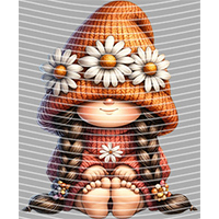 Cartoons and other-CO 737